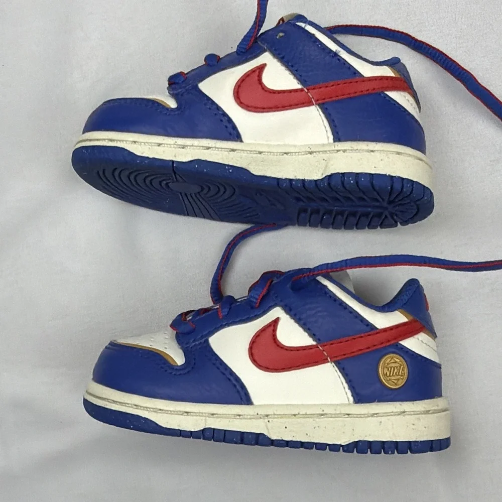 Nike Dunk Next Nature Superhero Toddler Boys Sneakers Shoes FD0675-400 SZ 5 C